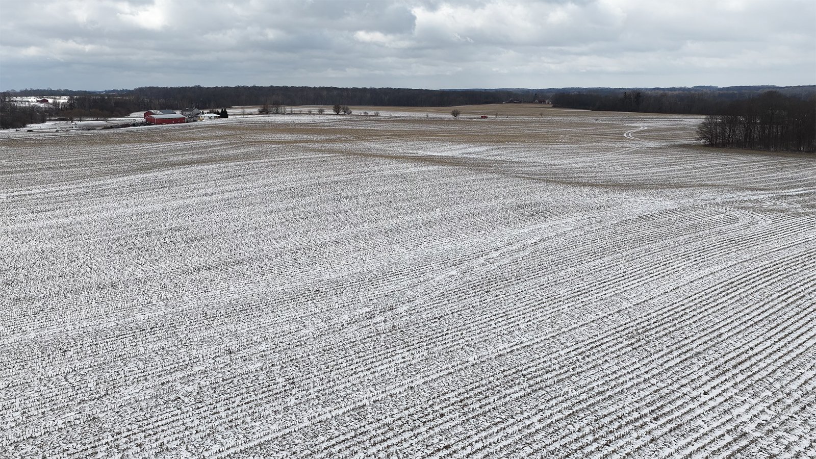 Property photo 5 - LAND AUCTION -78+/-ACRES OFFERED IN 1 TRACT IN WAYNE COUNTY, INDIANA