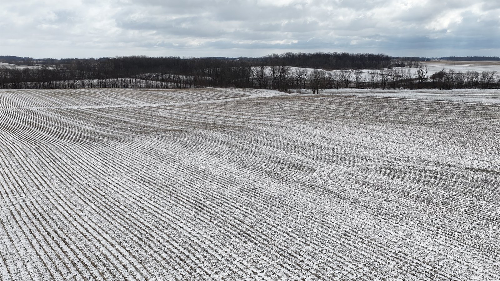 Property photo 4 - LAND AUCTION -78+/-ACRES OFFERED IN 1 TRACT IN WAYNE COUNTY, INDIANA