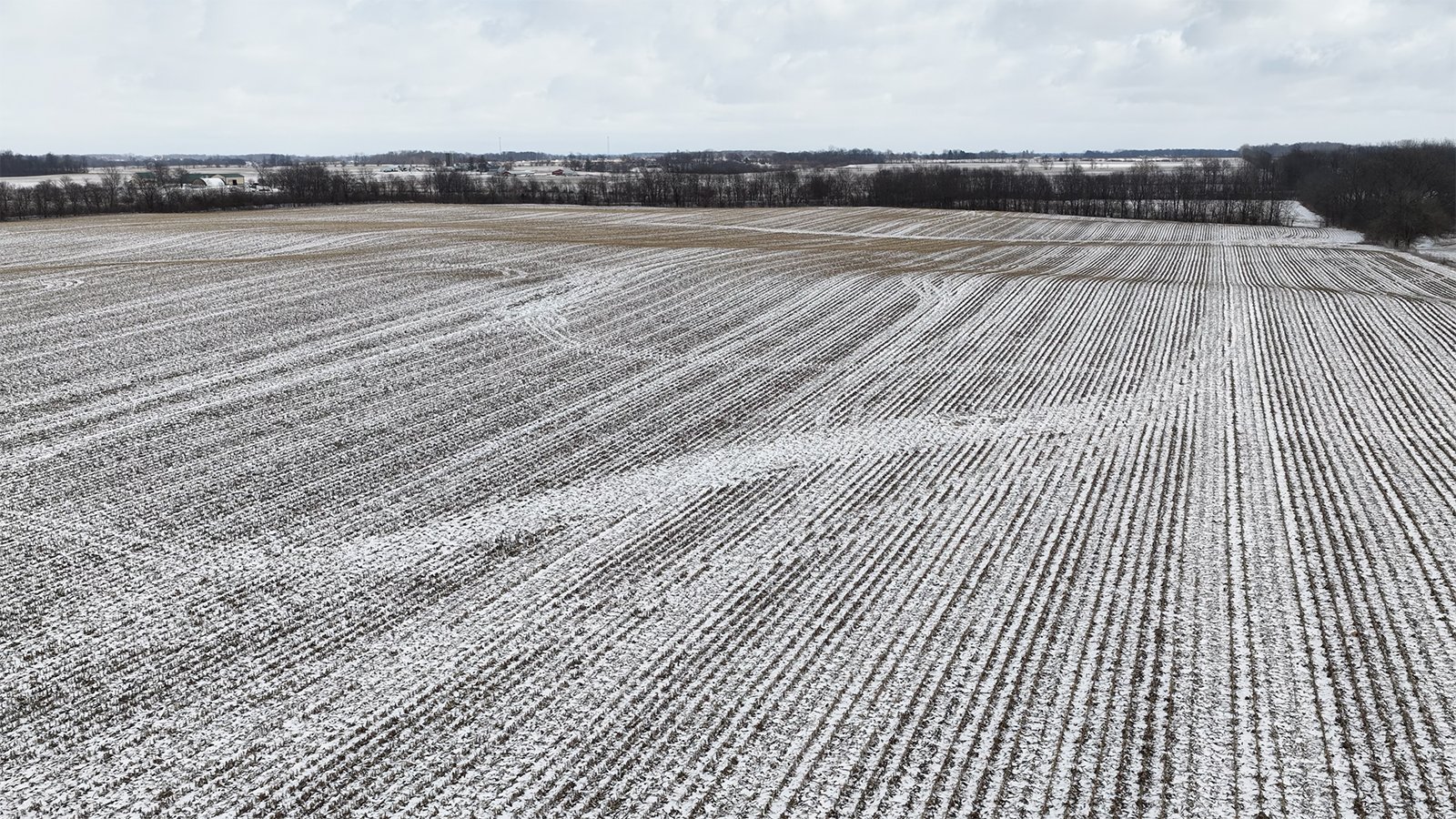 Property photo 3 - LAND AUCTION -78+/-ACRES OFFERED IN 1 TRACT IN WAYNE COUNTY, INDIANA