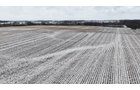 Property photo 3 - LAND AUCTION -78+/-ACRES OFFERED IN 1 TRACT IN WAYNE COUNTY, INDIANA