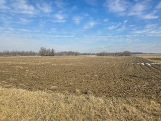 Property photo 11 - LAND AUCTION - 70+/-ACRES OFFERED IN 4 TRACTS IN JAY COUNTY, INDIANA