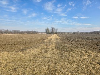 Property photo 9 - LAND AUCTION - 70+/-ACRES OFFERED IN 4 TRACTS IN JAY COUNTY, INDIANA