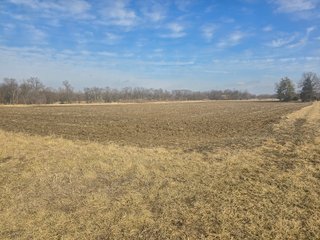 Property photo 8 - LAND AUCTION - 70+/-ACRES OFFERED IN 4 TRACTS IN JAY COUNTY, INDIANA