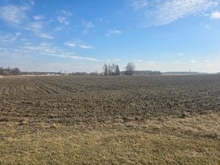 Property photo 3 - LAND AUCTION - 70+/-ACRES OFFERED IN 4 TRACTS IN JAY COUNTY, INDIANA
