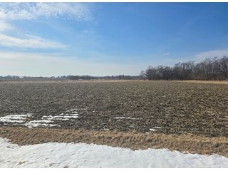 Property photo 7 - LAND AUCTION - 70+/-ACRES OFFERED IN 4 TRACTS IN JAY COUNTY, INDIANA