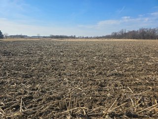 Property photo 2 - LAND AUCTION - 70+/-ACRES OFFERED IN 4 TRACTS IN JAY COUNTY, INDIANA