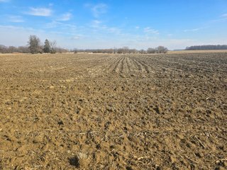 Property photo 4 - LAND AUCTION - 70+/-ACRES OFFERED IN 4 TRACTS IN JAY COUNTY, INDIANA