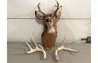 Property photo 21 - TIMED ONLINE ONLY PERSONAL PROPERTY AUCTION IN WELLS COUNTY, INDIANA
