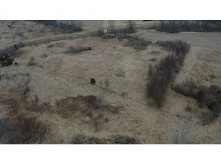Property photo 22 - REAL ESTATE AUCTION - 40+/-ACRES OFFERED IN 2 TRACTS IN HUNTINGTON COUNTY, INDIANA