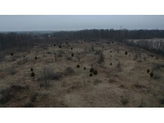 Property photo 8 - REAL ESTATE AUCTION - 40+/-ACRES OFFERED IN 2 TRACTS IN HUNTINGTON COUNTY, INDIANA