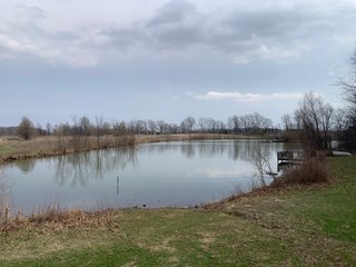 TRACT 6 - REAL ESTATE AUCTION - 79+/- ACRES OFFERED IN 6 TRACTS IN WELLS COUNTY, INDIANA