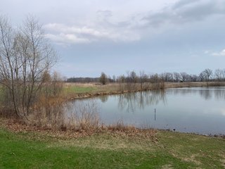 TRACT 6 - REAL ESTATE AUCTION - 79+/- ACRES OFFERED IN 6 TRACTS IN WELLS COUNTY, INDIANA