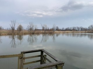 TRACT 6 - REAL ESTATE AUCTION - 79+/- ACRES OFFERED IN 6 TRACTS IN WELLS COUNTY, INDIANA