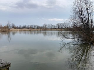 TRACT 6 - REAL ESTATE AUCTION - 79+/- ACRES OFFERED IN 6 TRACTS IN WELLS COUNTY, INDIANA