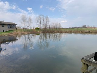TRACT 6 - REAL ESTATE AUCTION - 79+/- ACRES OFFERED IN 6 TRACTS IN WELLS COUNTY, INDIANA