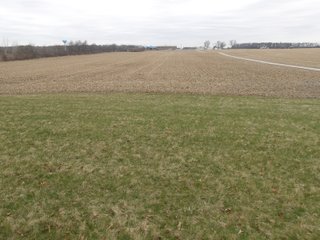 TRACT 1 & 2 - REAL ESTATE AUCTION - 79+/- ACRES OFFERED IN 6 TRACTS IN WELLS COUNTY, INDIANA