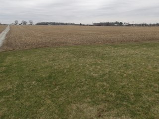 TRACT 4 & 5 - REAL ESTATE AUCTION - 79+/- ACRES OFFERED IN 6 TRACTS IN WELLS COUNTY, INDIANA