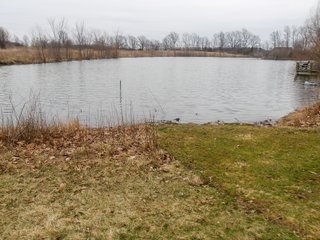 TRACT 6 - REAL ESTATE AUCTION - 79+/- ACRES OFFERED IN 6 TRACTS IN WELLS COUNTY, INDIANA