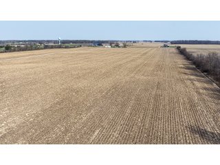 Property photo 6 - REAL ESTATE AUCTION - 79+/- ACRES OFFERED IN 6 TRACTS IN WELLS COUNTY, INDIANA