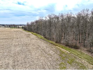 Property photo 4 - LAND AUCTION - 90+/-ACRES OFFERED IN 3 TRACTS IN DEKALB COUNTY, INDIANA
