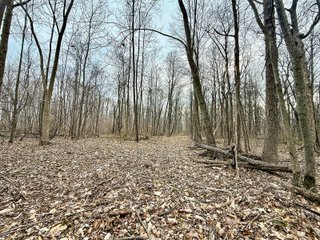 Property photo 16 - LAND AUCTION - 90+/-ACRES OFFERED IN 3 TRACTS IN DEKALB COUNTY, INDIANA