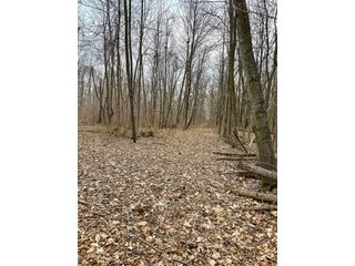 Property photo 17 - LAND AUCTION - 90+/-ACRES OFFERED IN 3 TRACTS IN DEKALB COUNTY, INDIANA