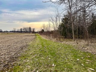 Property photo 3 - LAND AUCTION - 90+/-ACRES OFFERED IN 3 TRACTS IN DEKALB COUNTY, INDIANA
