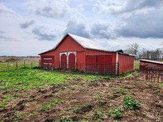 Property photo 19 - REAL ESTATE AUCTION -131+/-ACRES OFFERED IN 2 TRACTS IN GRANT COUNTY, INDIANA