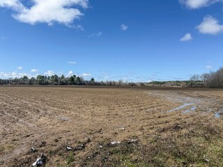 Property photo 18 - FARMLAND AUCTION - 125+/-ACRES OFFERED IN 2 TRACTS IN SANILAC COUNTY, MICHIGAN