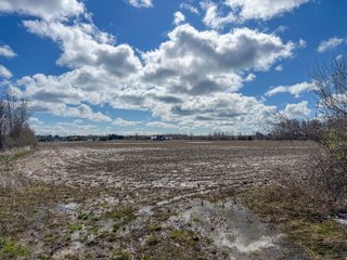 Property photo 19 - FARMLAND AUCTION - 125+/-ACRES OFFERED IN 2 TRACTS IN SANILAC COUNTY, MICHIGAN