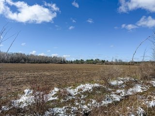 Property photo 20 - FARMLAND AUCTION - 125+/-ACRES OFFERED IN 2 TRACTS IN SANILAC COUNTY, MICHIGAN