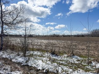Property photo 21 - FARMLAND AUCTION - 125+/-ACRES OFFERED IN 2 TRACTS IN SANILAC COUNTY, MICHIGAN