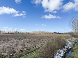 Property photo 24 - FARMLAND AUCTION - 125+/-ACRES OFFERED IN 2 TRACTS IN SANILAC COUNTY, MICHIGAN