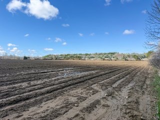 Property photo 31 - FARMLAND AUCTION - 125+/-ACRES OFFERED IN 2 TRACTS IN SANILAC COUNTY, MICHIGAN