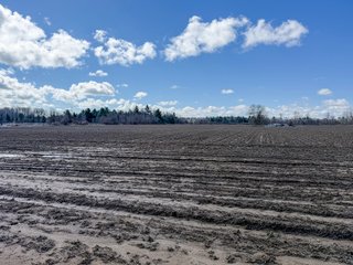 Property photo 32 - FARMLAND AUCTION - 125+/-ACRES OFFERED IN 2 TRACTS IN SANILAC COUNTY, MICHIGAN