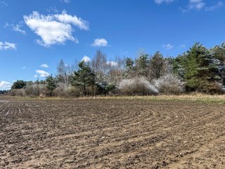 Property photo 33 - FARMLAND AUCTION - 125+/-ACRES OFFERED IN 2 TRACTS IN SANILAC COUNTY, MICHIGAN