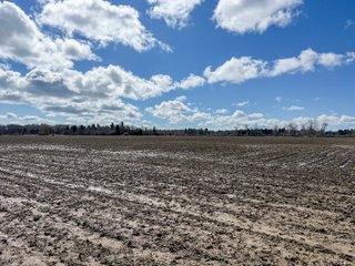 Property photo 34 - FARMLAND AUCTION - 125+/-ACRES OFFERED IN 2 TRACTS IN SANILAC COUNTY, MICHIGAN