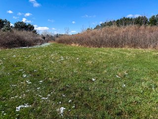 Property photo 35 - FARMLAND AUCTION - 125+/-ACRES OFFERED IN 2 TRACTS IN SANILAC COUNTY, MICHIGAN