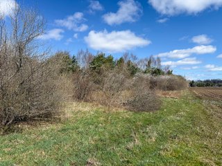 Property photo 36 - FARMLAND AUCTION - 125+/-ACRES OFFERED IN 2 TRACTS IN SANILAC COUNTY, MICHIGAN