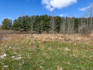Property photo 37 - FARMLAND AUCTION - 125+/-ACRES OFFERED IN 2 TRACTS IN SANILAC COUNTY, MICHIGAN