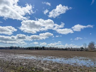 Property photo 38 - FARMLAND AUCTION - 125+/-ACRES OFFERED IN 2 TRACTS IN SANILAC COUNTY, MICHIGAN