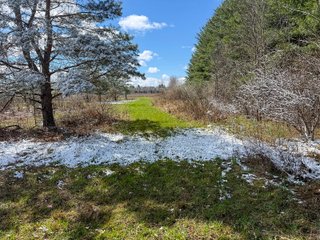 Property photo 39 - FARMLAND AUCTION - 125+/-ACRES OFFERED IN 2 TRACTS IN SANILAC COUNTY, MICHIGAN