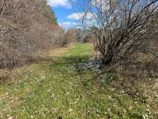 Property photo 40 - FARMLAND AUCTION - 125+/-ACRES OFFERED IN 2 TRACTS IN SANILAC COUNTY, MICHIGAN