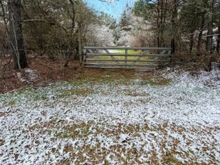 Property photo 41 - FARMLAND AUCTION - 125+/-ACRES OFFERED IN 2 TRACTS IN SANILAC COUNTY, MICHIGAN