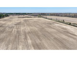 Property photo 6 - FARMLAND AUCTION - 125+/-ACRES OFFERED IN 2 TRACTS IN SANILAC COUNTY, MICHIGAN