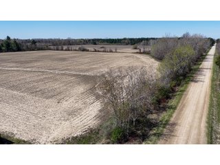 Property photo 8 - FARMLAND AUCTION - 125+/-ACRES OFFERED IN 2 TRACTS IN SANILAC COUNTY, MICHIGAN