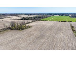 Property photo 10 - FARMLAND AUCTION - 125+/-ACRES OFFERED IN 2 TRACTS IN SANILAC COUNTY, MICHIGAN