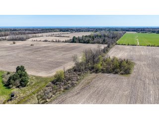 Property photo 11 - FARMLAND AUCTION - 125+/-ACRES OFFERED IN 2 TRACTS IN SANILAC COUNTY, MICHIGAN