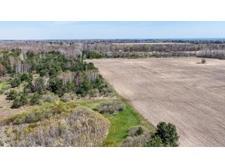 Property photo 13 - FARMLAND AUCTION - 125+/-ACRES OFFERED IN 2 TRACTS IN SANILAC COUNTY, MICHIGAN