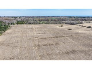 Property photo 14 - FARMLAND AUCTION - 125+/-ACRES OFFERED IN 2 TRACTS IN SANILAC COUNTY, MICHIGAN